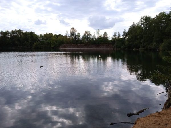 بررسی پوکو C31 : نمونه عکس دوربین 4