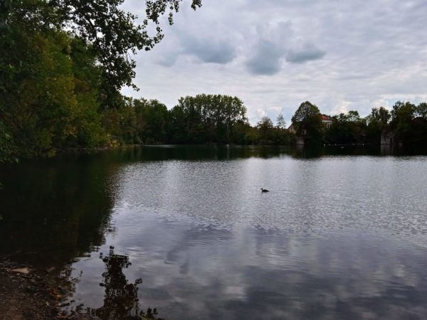 بررسی پوکو C31 : نمونه عکس دوربین 3