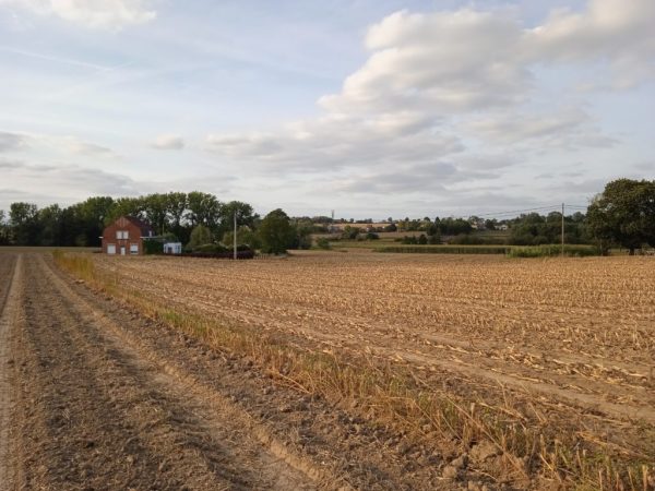 بررسی پوکو C31 : نمونه عکس دوربین 1