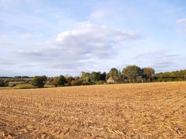 بررسی پوکو C31 : نمونه عکس دوربین 2