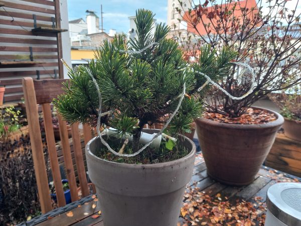 نمونه عکس دوربین گلکسی ام 22