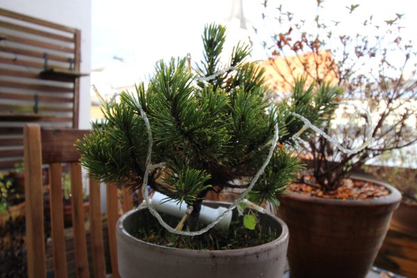 نمونه عکس دوربین کانن EOS 600D