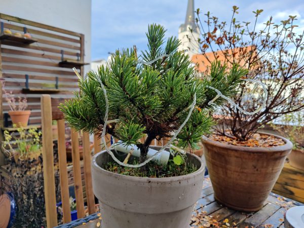 نمونه عکس دوربین وان پلاس 9