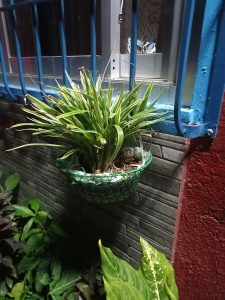 نمونه عکس دوربین گلکسی m22 3