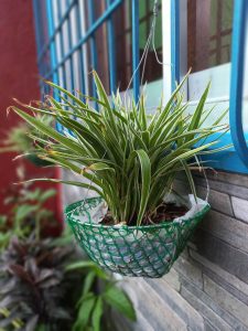 نمونه عکس دوربین گلکسی m22 8