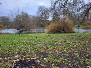 نمونه عکس دوربین S21 FE 5