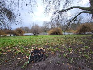 نمونه عکس دوربین S21 FE