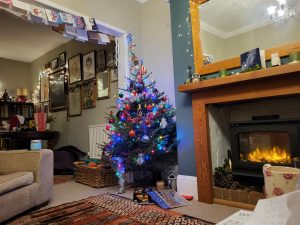 نمونه عکس دوربین S21 FE 2