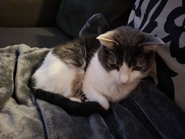 نمونه عکس دوربین S21 FE سامسونگ 6