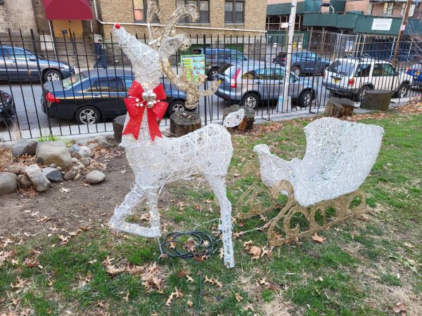 نمونه عکس دوربین S21 FE سامسونگ 3