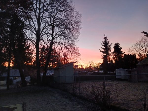 نمونه عکس دوربین گلکسی A13 5G سامسونگ