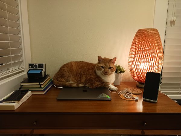 نمونه عکس دوربین گلکسی A13 5G سامسونگ 2