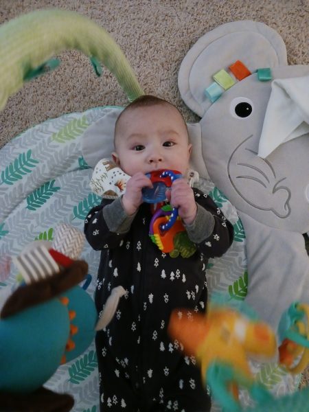 نمونه عکس دوربین گلکسی A13 5G سامسونگ 4