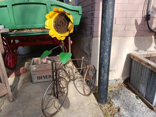 نمونه عکس دوربین Galaxy A13 5G