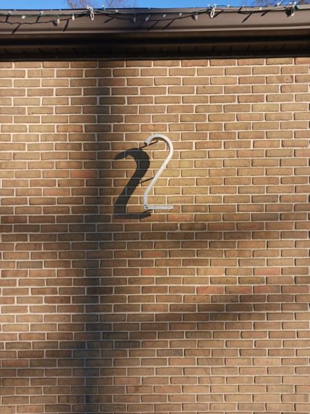 نمونه عکس دوربین Galaxy A13 5G 7