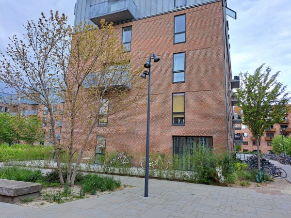 نمونه عکس دوربین A53 5G