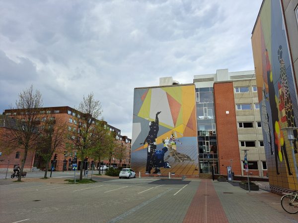 نمونه عکس دوربین A53 5G