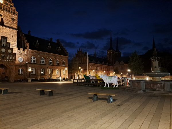 نمونه عکس دوربین A53 5G حالت شب