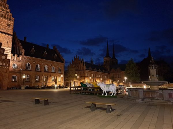 نمونه عکس دوربین A53 5G حالت شب