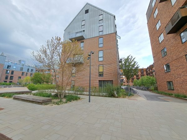 نمونه عکس دوربین A53 5G فوق عریض