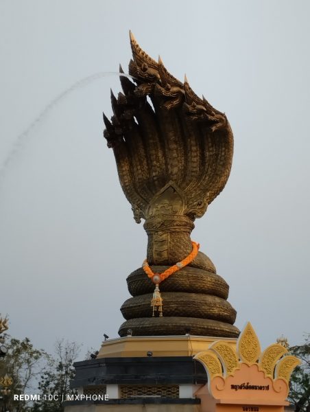 نمونه عکس دوربین ردمی 10C