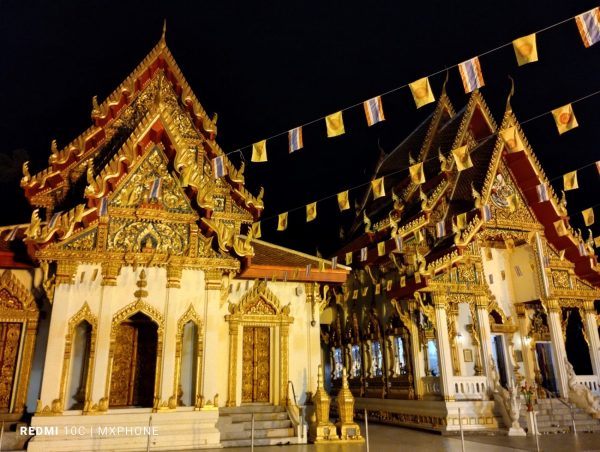 نمونه عکس دوربین ردمی 10C 17