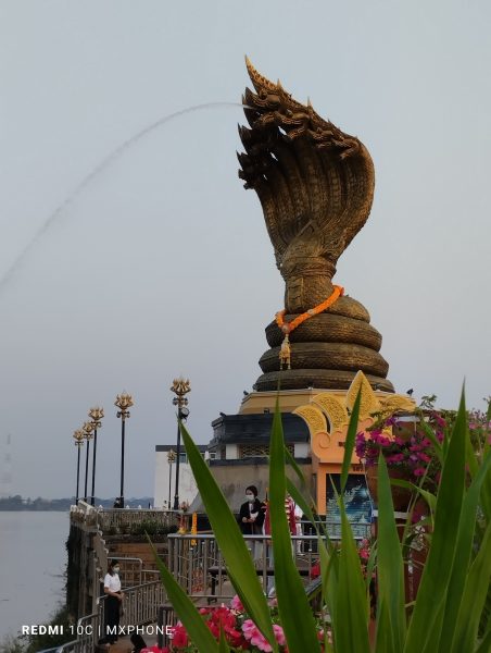 نمونه عکس دوربین ردمی 10C 2