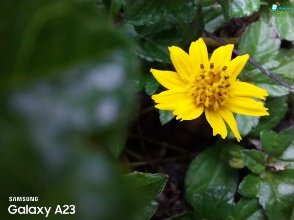 نمونه عکس دوربین ماکرو A23