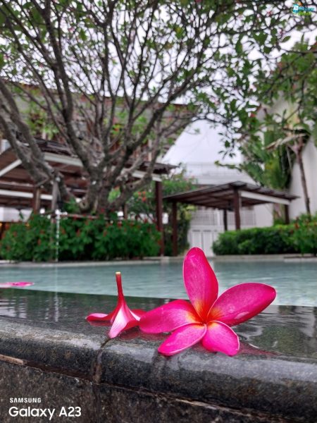 نمونه عکس دوربین A23