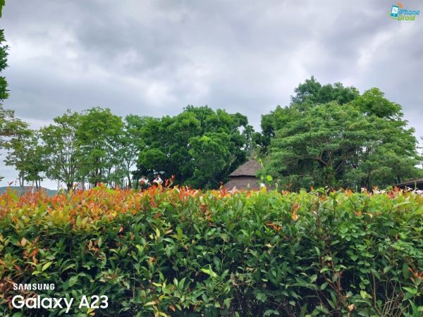 نمونه عکس دوربین A23