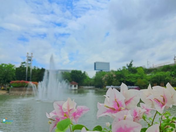 نمونه عکس دوربین گلکسی M33