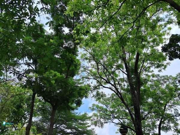 نمونه عکس دوربین گلکسی M33