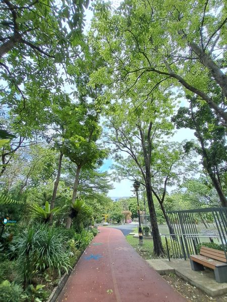 نمونه عکس دوربین فوق عریض M33