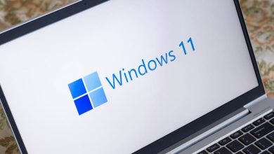 نصب net framework 3.5 در ویندوز 11