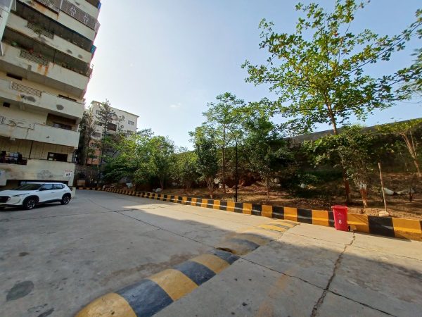 نمونه عکس دوربین گلکسی M53 5G