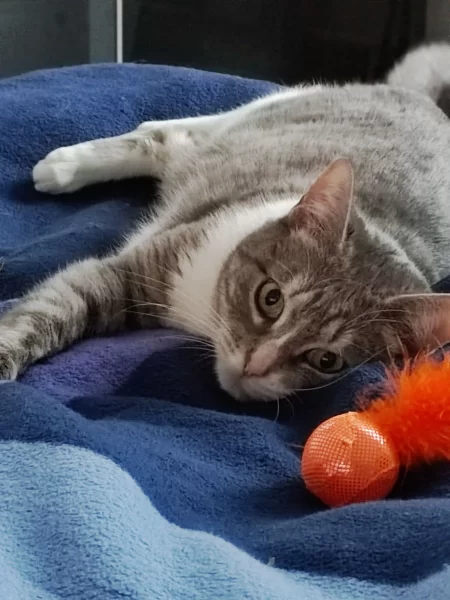 نمونه عکس دوربین شیائومی 12 ایکس