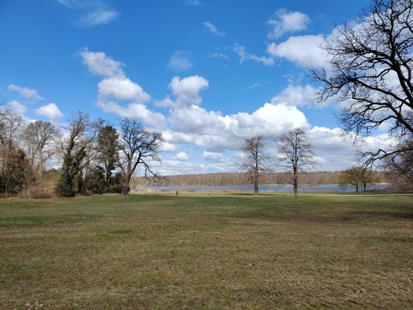 نمونه عکس دوربین شیائومی 12 ایکس