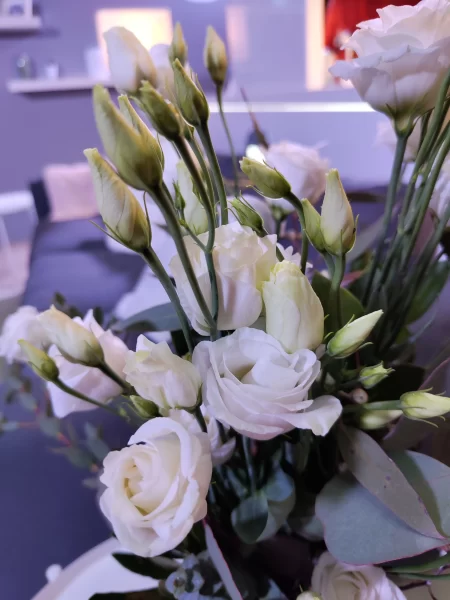 نمونه عکس دوربین شیائومی 12 ایکس