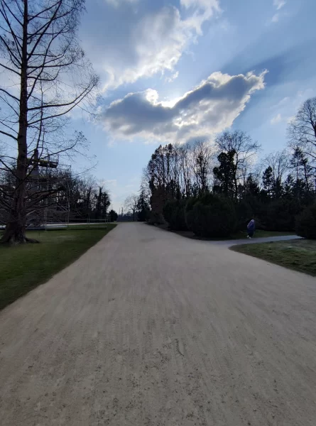 نمونه عکس دوربین شیائومی 12 ایکس