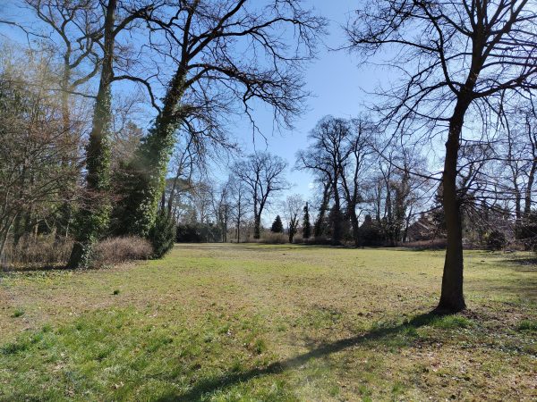 نمونه عکس دوربین شیائومی 12 ایکس