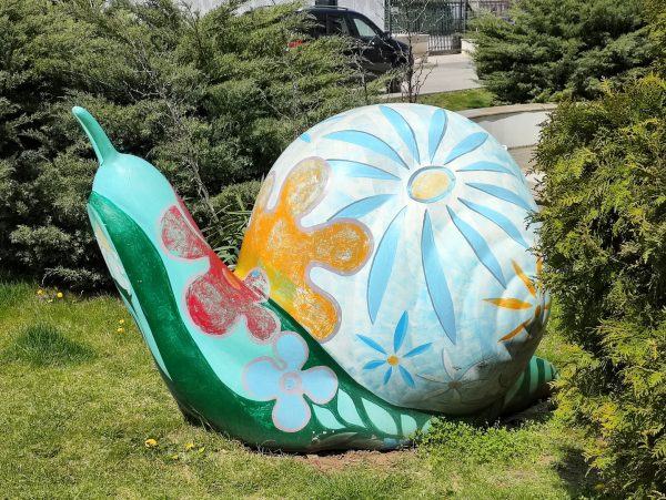 نمونه عکس دوربین پوکو اف 4 جی تی - زوم دو برابری