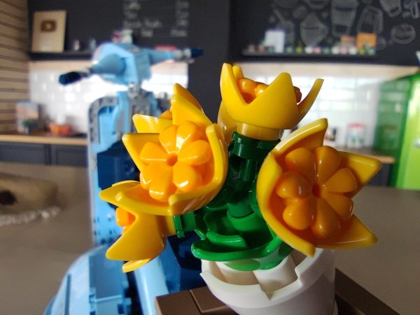 نمونه عکس دوربین poco f4 gt - لنز ماکرو