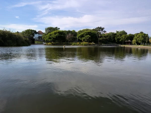 نمونه عکس دوربین Poco X4 GT