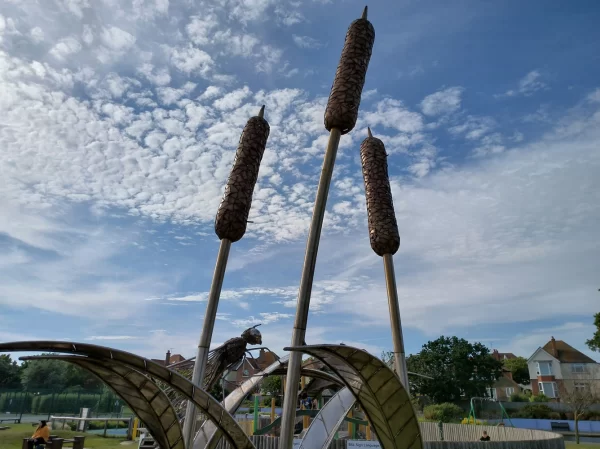 نمونه عکس دوربین Poco X4 GT