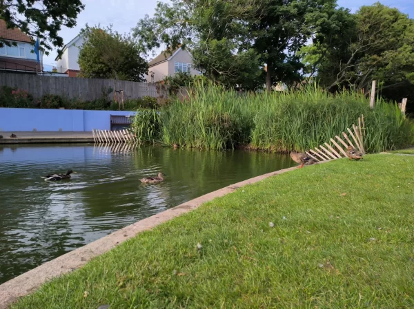 نمونه عکس دوربین Poco X4 GT