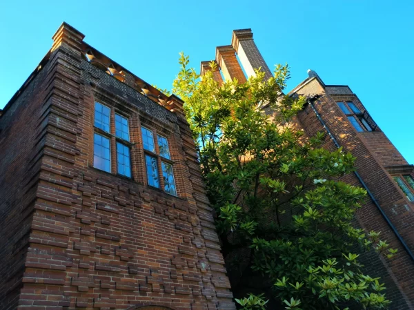 نمونه عکس دوربین Poco X4 GT