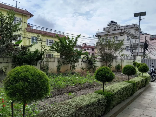 نمونه عکس دوربین A04s